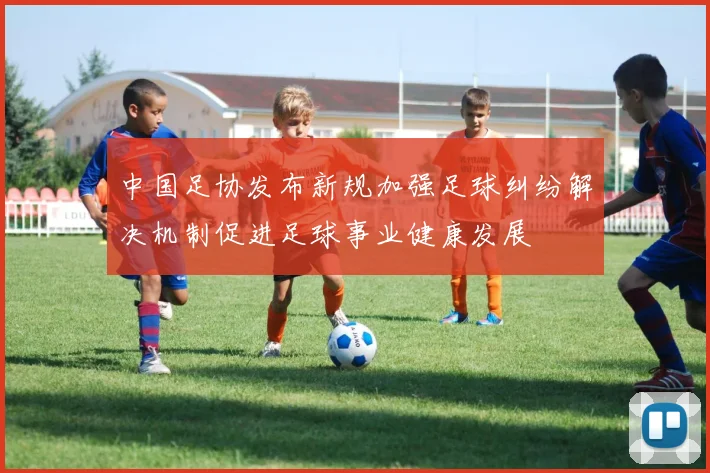 中国足协发布新规加强足球纠纷解决机制促进足球事业健康发展
