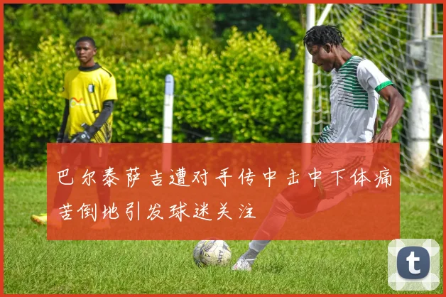 巴尔泰萨吉遭对手传中击中下体痛苦倒地引发球迷关注